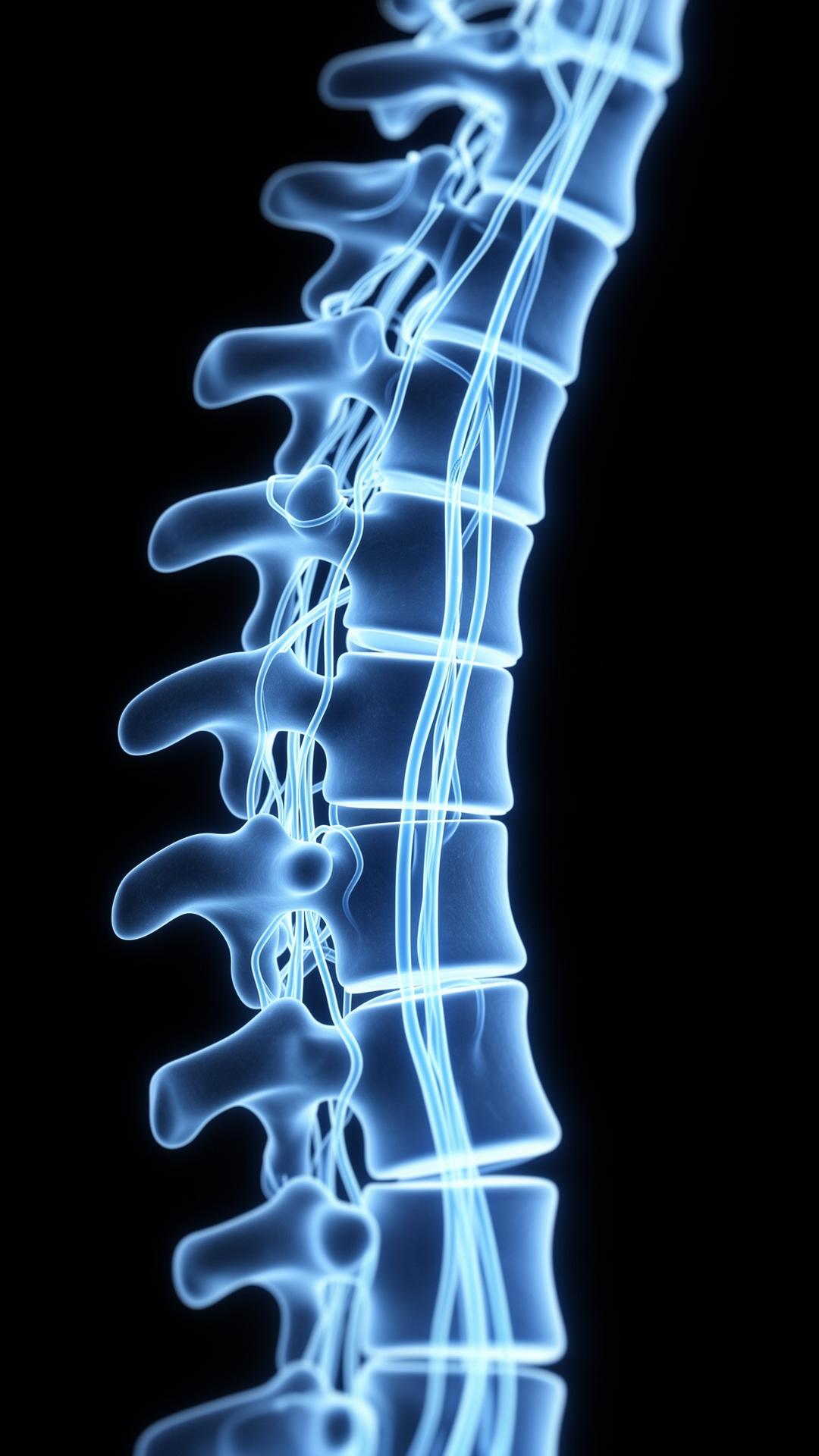 Glowing nervous system pathways